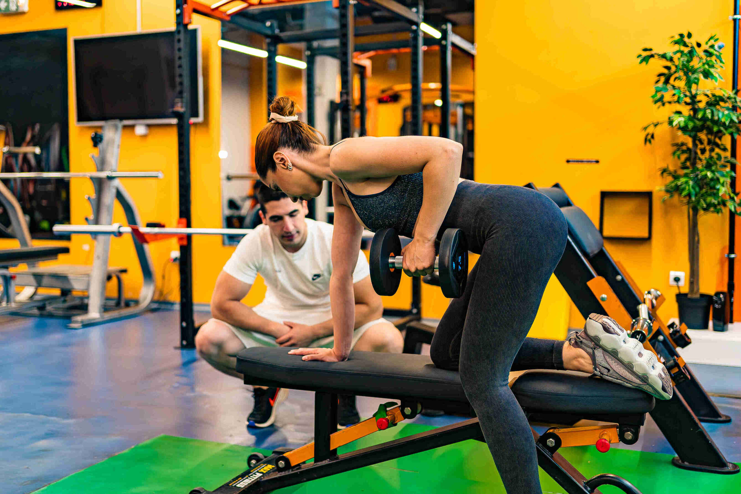 Top 5 Teretana u Nišu – Spisak teretana u Nišu